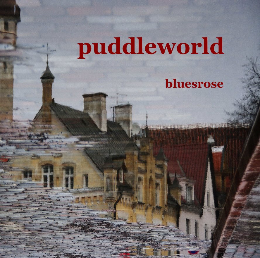 View puddleworld by Bluesrose