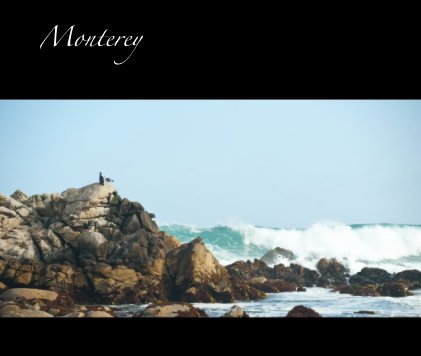 Monterey book cover