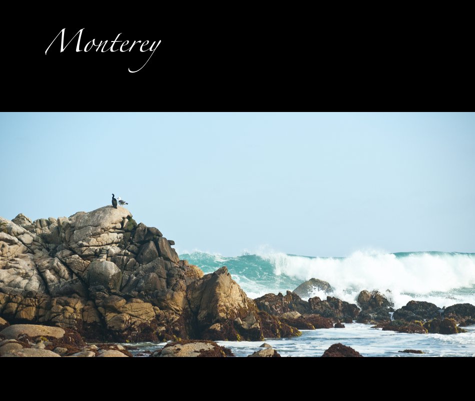 View Monterey by Debbie Scott
