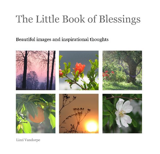 Ver The Little Book of Blessings por Lizzi Vandorpe