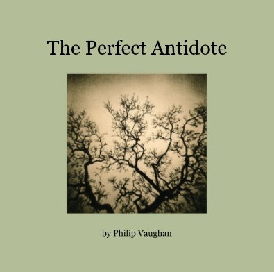 The Perfect Antidote book cover