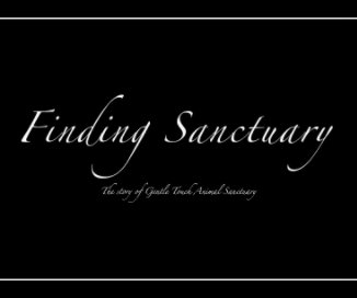 Finding Sanctuary book cover
