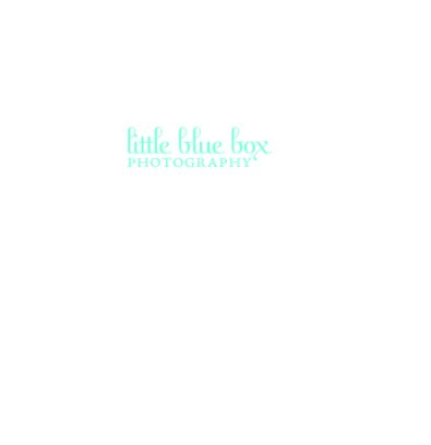 Little Blue Box Photography book cover