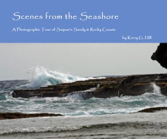 Scenes from the Seashore book cover