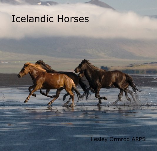 View Icelandic Horses by Lesley Ormrod ARPS