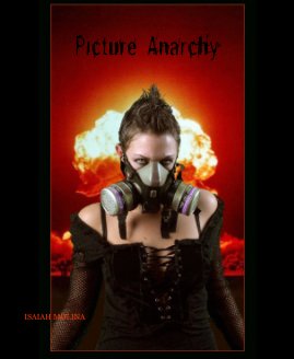 Picture Anarchy book cover