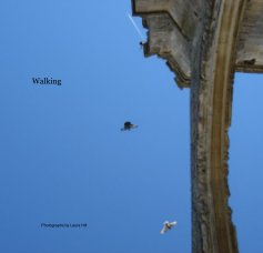Walking book cover