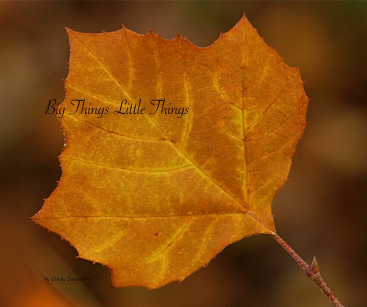 Ver Big Things Little Things by Cindy Zweiacher por Cindy Zweiacher