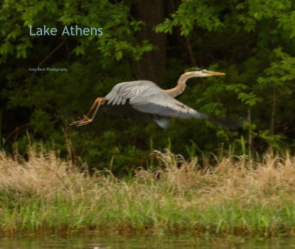 Lake Athens book cover