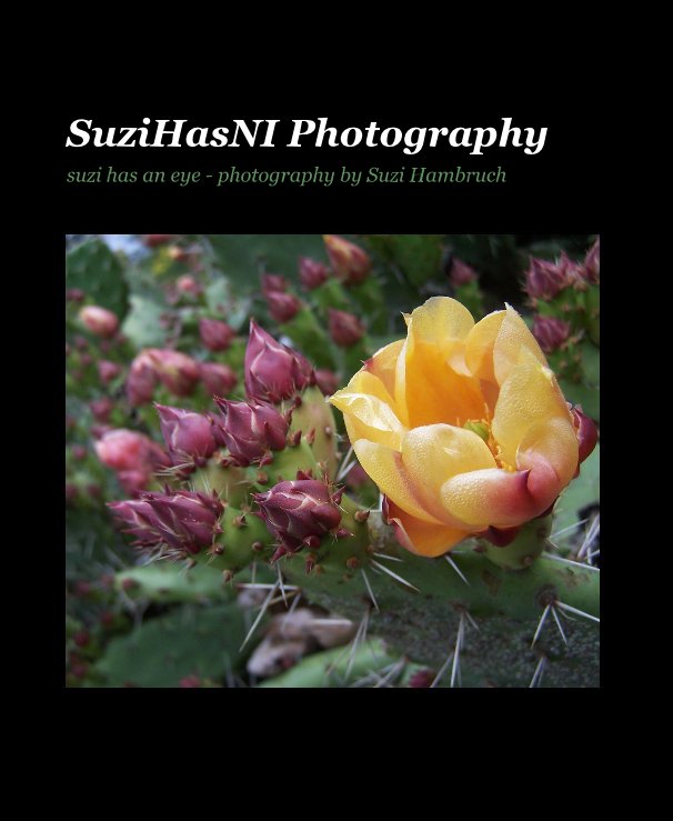 View SuziHasNI Photography by Suzi Hambruch