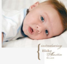 Blake Austin book cover