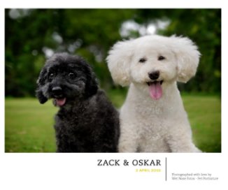 Oskar & Zack book cover