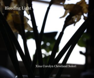 Bleeding Light book cover