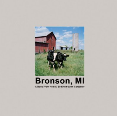 Bronson, MI book cover