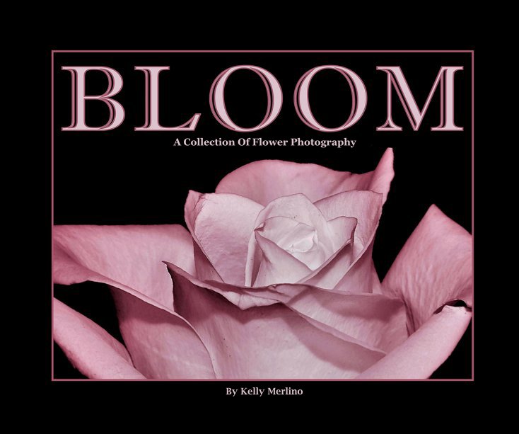 View Bloom by Kelly Merlino