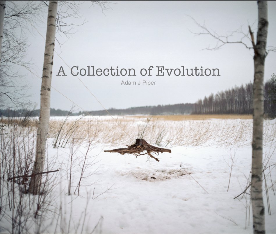 View A Collection of Evolution Adam J Piper by Adam J Piper