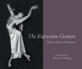 The Expressive Gesture book cover