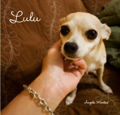 Lulu book cover