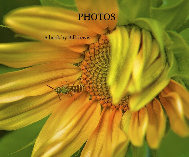 Visualizza PHOTOS di A book by Bill Lewis