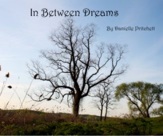 In Between Dreams book cover