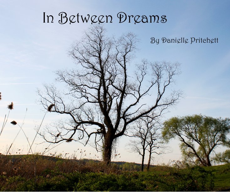 View In Between Dreams by Danielle Pritchett