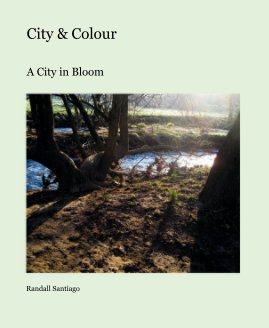 City & Colour book cover
