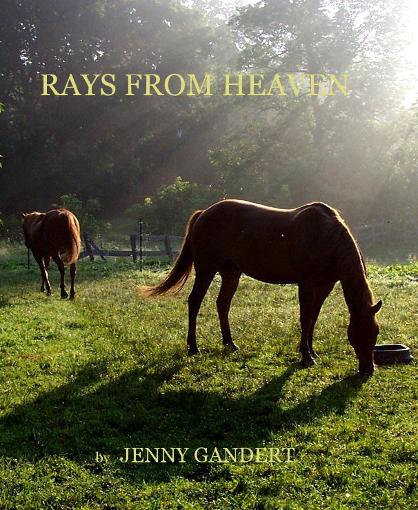 Visualizza RAYS FROM HEAVEN di JENNY GANDERT