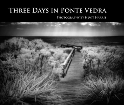 Three Days in Ponte Vedra book cover