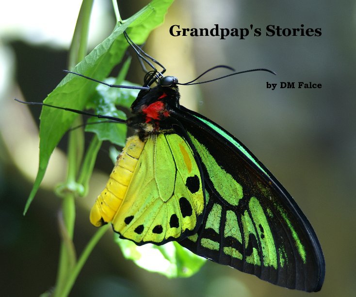 View Grandpap's Stories by DM Falce