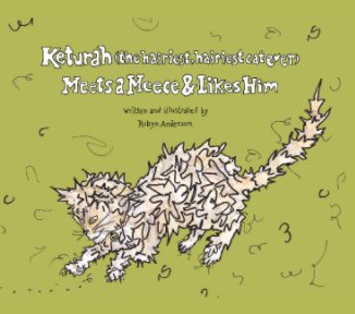 Keturah (the hairiest, hairiest cat ever) Meets a Meece & Likes Him book cover