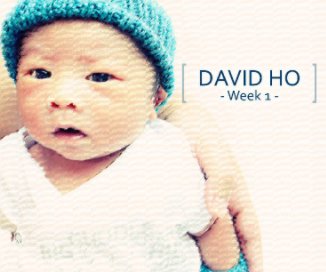 Baby David book cover