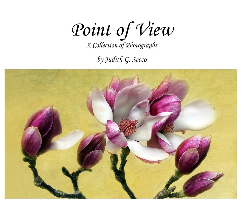 Bekijk Point of View A Collection of Photographs op Judith G. Secco