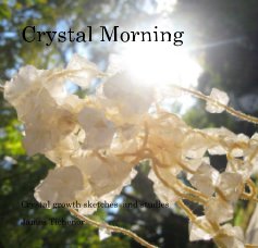 Crystal Morning book cover