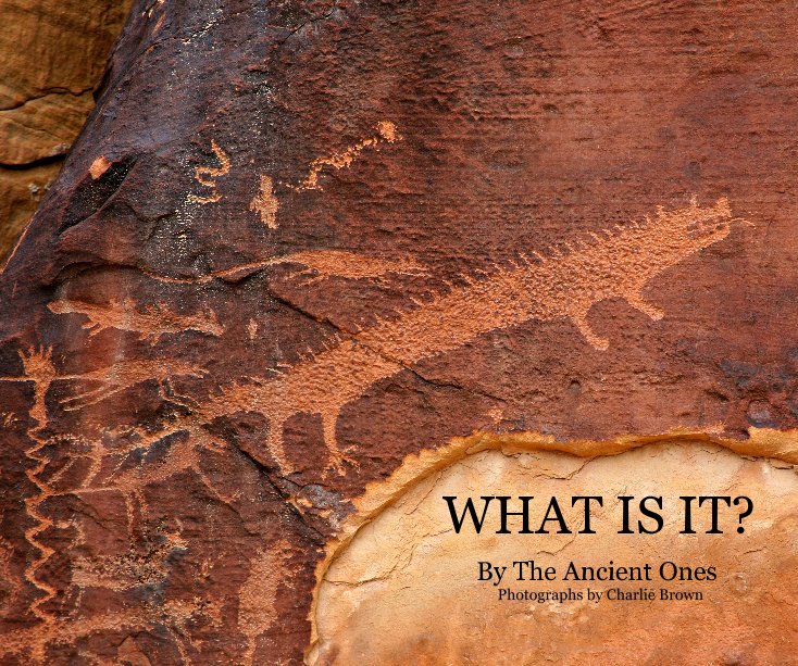 View WHAT IS IT? by The Ancient Ones with Photographs by Charlie Brown
