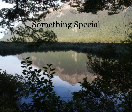 Something Special book cover