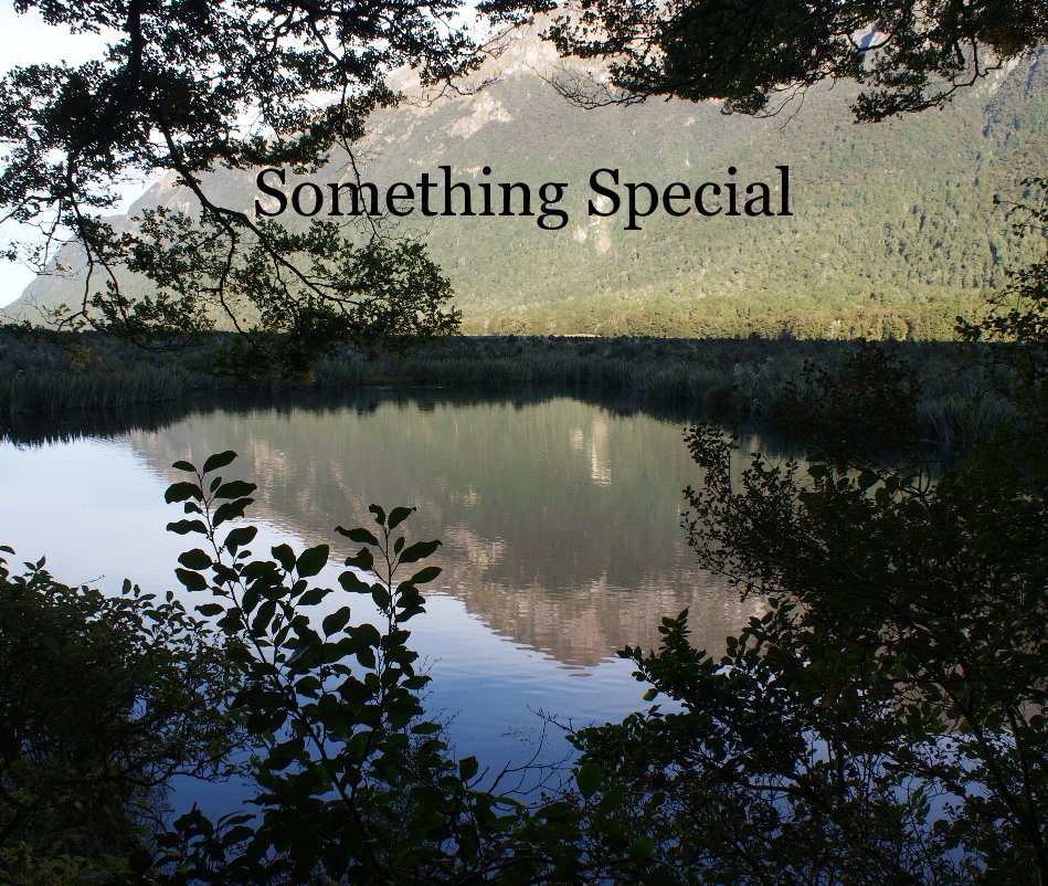 Ver Something Special por Carol Geraghty