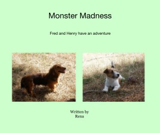 Monster Madness book cover