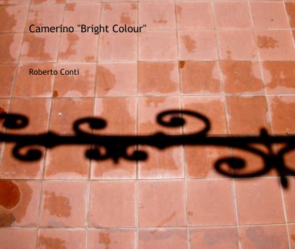 Camerino "Bright Colour" book cover