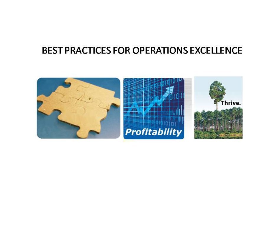 View BEST PRACTICES FOR OPERATIONS EXCELLENCE by Gordon Paul King