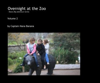 Overnight at the Zoo - Nana's Big Adventure Series book cover