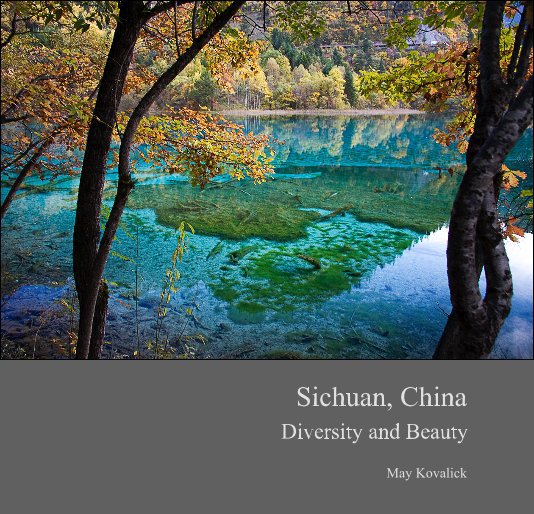 View Sichuan, China by May Kovalick