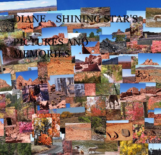 View DIANE SHINING STAR'S PICTURES AND MEMORIES by DIANE FUSCO