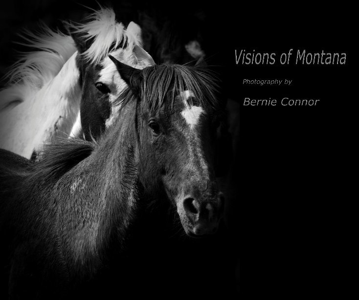 Visualizza Visions of Montana di Bernie Connor