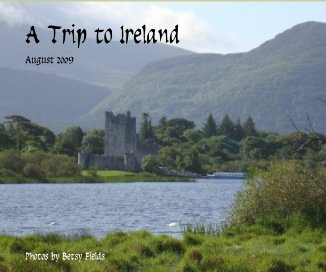 A Trip to Ireland book cover
