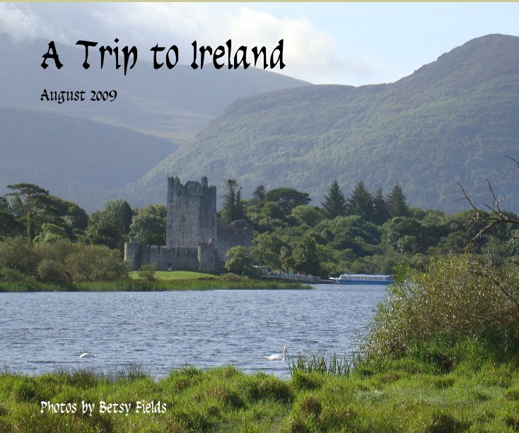 View A Trip to Ireland by Betsy Fields