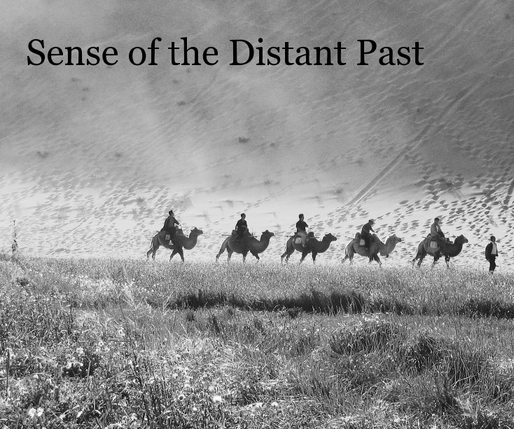 View Sense of the Distant Past by James C. Manley