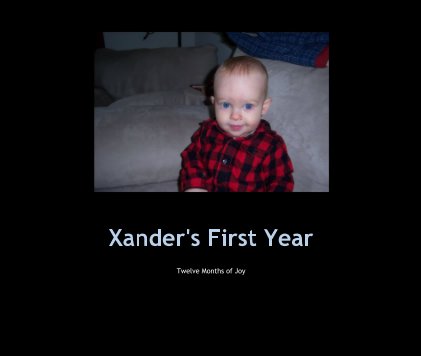 Xander's First Year book cover