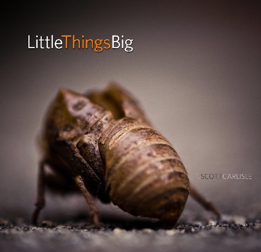 View Little Things Big by T. Scott Carlisle