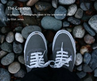 The Common book cover