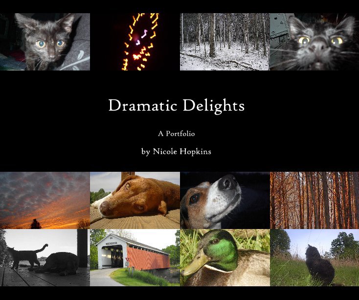 View Dramatic Delights by Nicole Hopkins